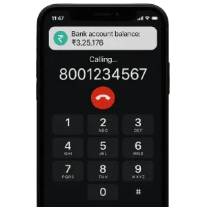 Bank Balance Check Tool